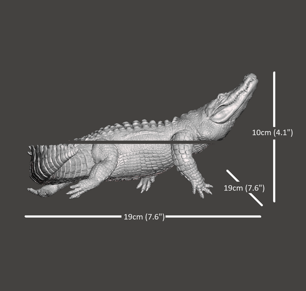 Endurance Alligator Set