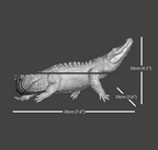 Endurance Alligator Set