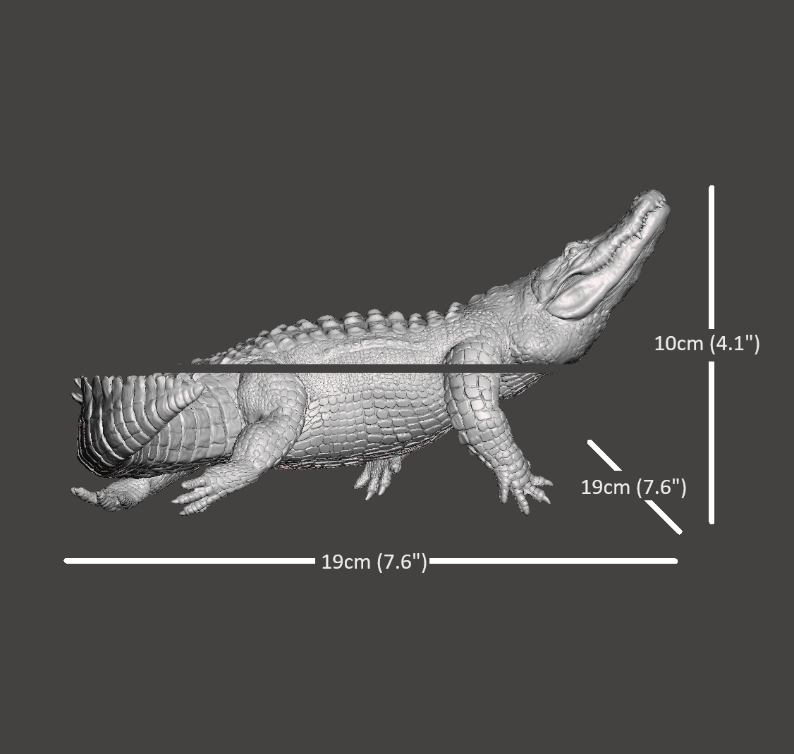 Endurance Alligator Set