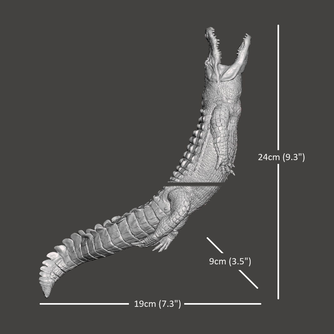 Endurance Alligator Set