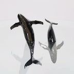 Euphoria Whale Set by Waterines — 3D sculpted magnetic resin whale sculptures breach through a glass coffee table.