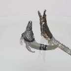 Endurance Alligator Set by Waterines — 3D sculpted magnetic resin alligator sculptures hunt in a glass coffee table.