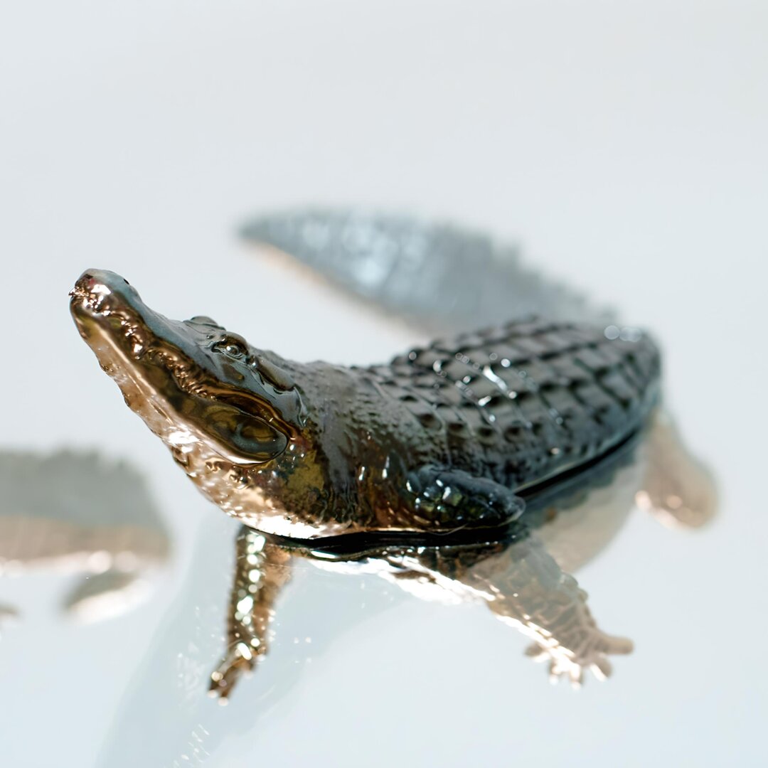 Endurance Alligator Set by Waterines — 3D sculpted magnetic resin alligator sculptures hunt in a glass coffee table.